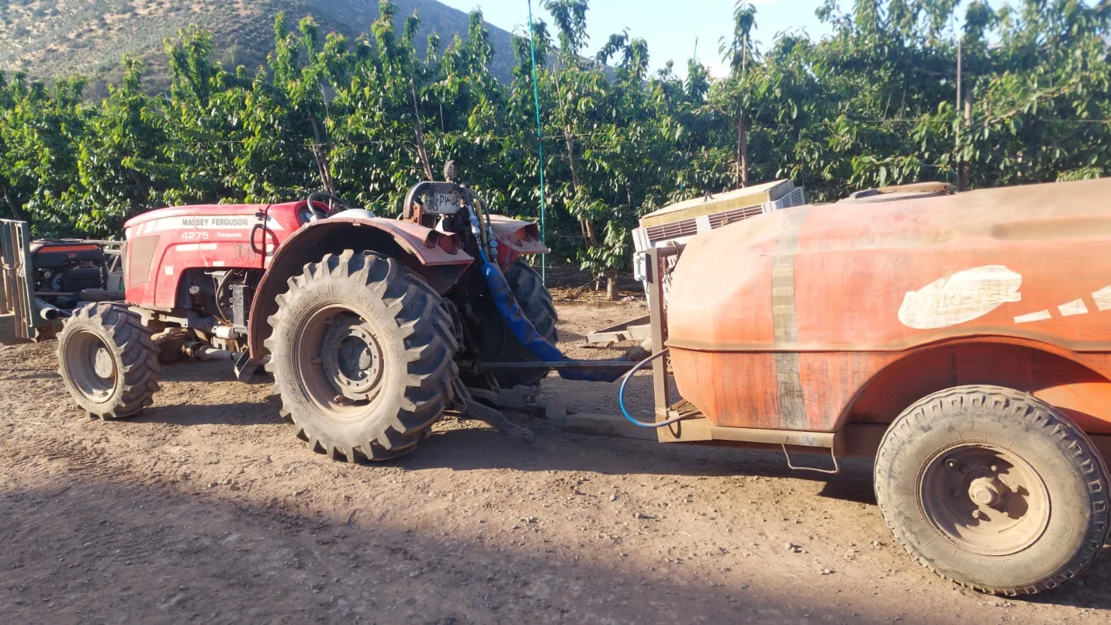 Tractor con nebulizadora en un huerto de cerezos